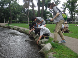 Mosses around creek in our campus