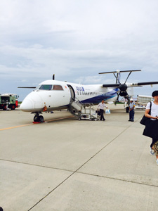 Flight from Chitose to Niigata.